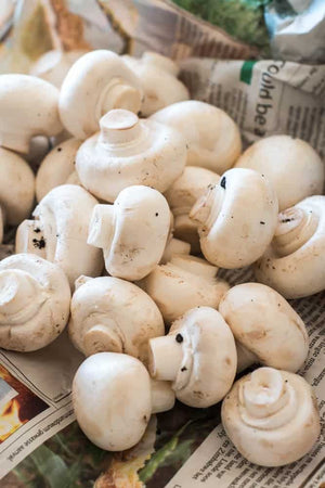 Champignons 🇨🇭