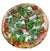 Rucola